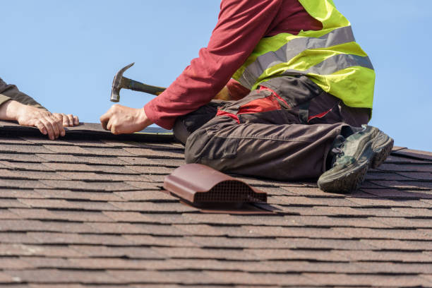 Best Local Roofing Companies  in Montgomery, WV