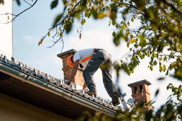 Best Roof Waterproofing Services  in Montgomery, WV