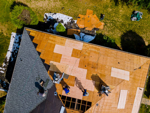 Best Roof Repair Services  in Montgomery, WV