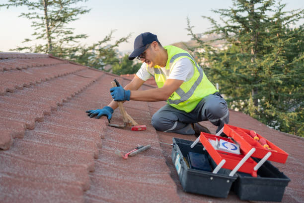 Best New Roof Installation  in Montgomery, WV