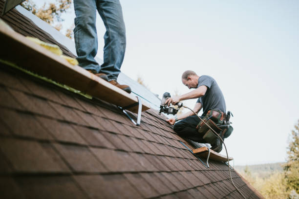 Best Roof Gutter Cleaning  in Montgomery, WV